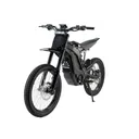 E-Ride Pro SS 2.0
