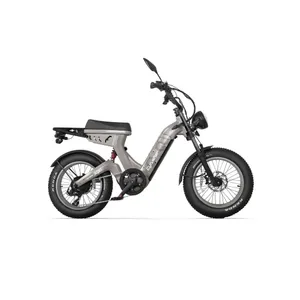Cyrusher Scout (Grey)