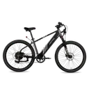 Lectric XPress (750W Step-Through)