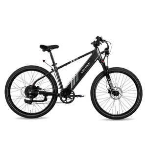 Lectric XPress (750W Step-Through)