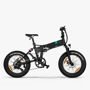 Fiido M21 Fat Tire product photo