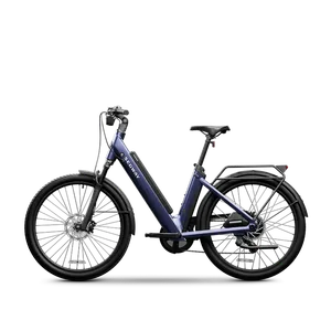 Segway-Ninebot Myon