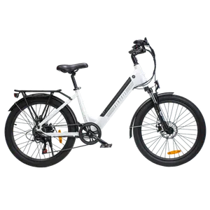 Biktrix Swift Lite 3 Step-Thru