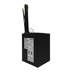 AMORGE 13S9P 37.8Ah 315A (Molicel P42A)