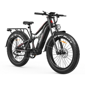Freesky Swift Horse Pro X-6E