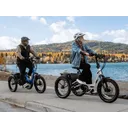 Velotric Triker - Image 4