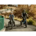 Velotric Triker - Image 5
