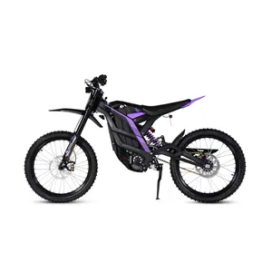 79Bike Falcon Pro product photo