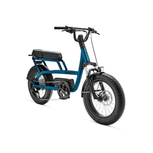 Trek Ponto Go!