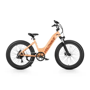 Velowave Rover