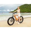 Velowave Rover - Image 5
