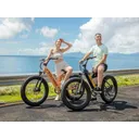 Velowave Rover - Image 4